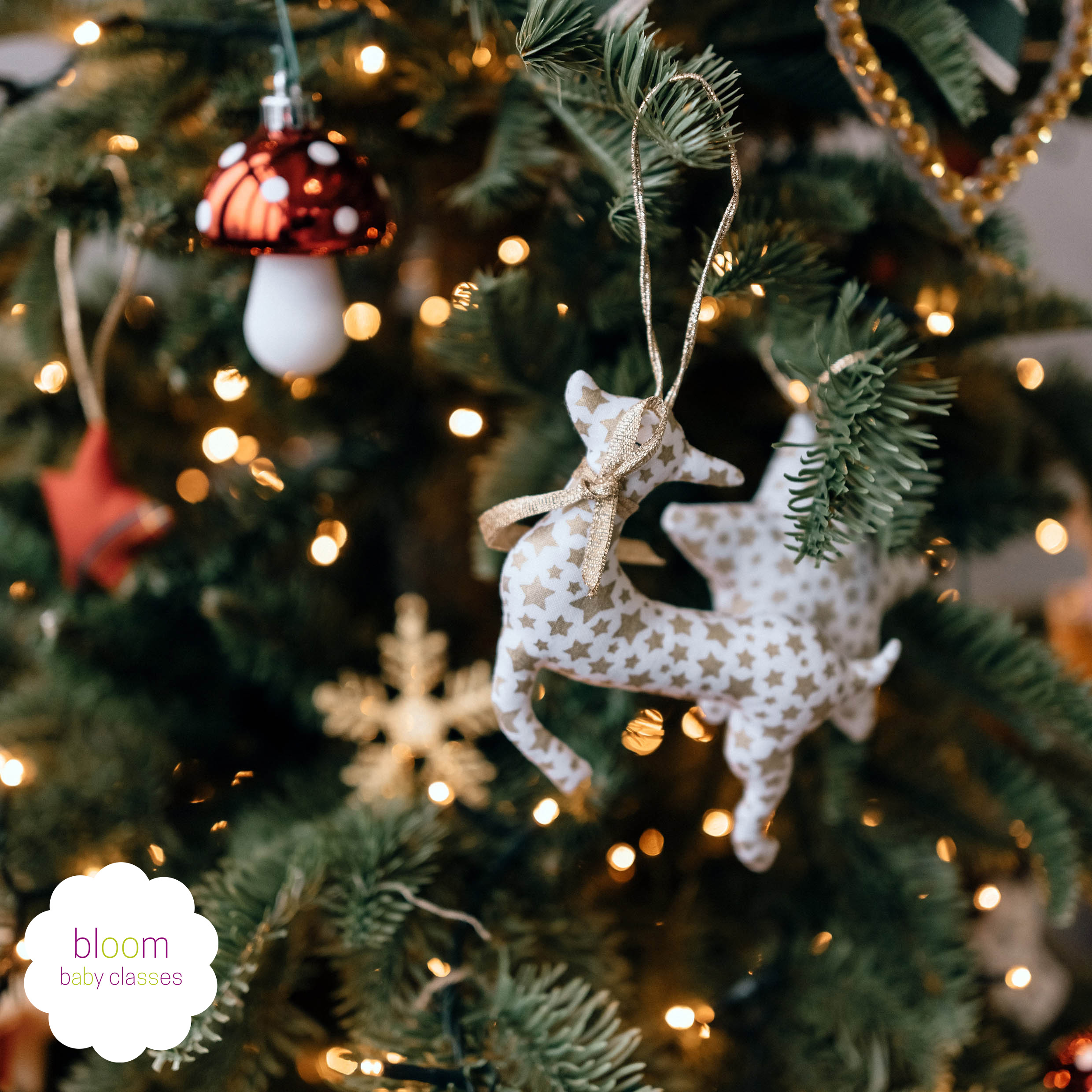 christmas specials at bloom baby classes