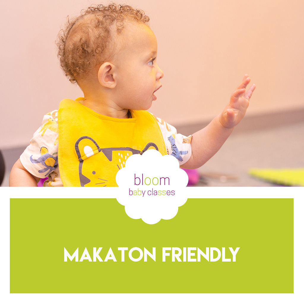 Makaton Friendly
