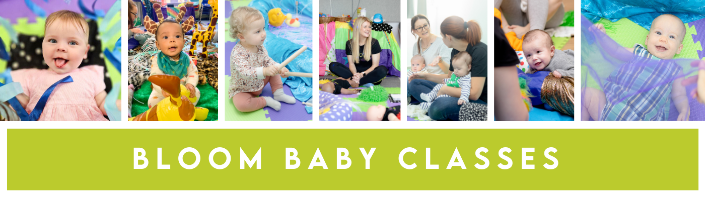 Bloom Baby Classes Banner